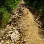 Nicht zufällig schnurgerade: Hier stand zu Zeiten des Eisernen Vorhangs der Stacheldrahtzaun Nicht zufällig schnurgerade: Hier stand zu Zeiten des Eisernen Vorhangs der Stacheldrahtzaun