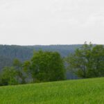 Zwei Türme, aber beide eher böse Zwei Türme, aber beide eher böse