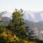 Lücken zwischen den die Alm umgebenden Bäumen geben immer wieder schöne Blicke frei