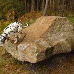 Kosmo hat keinen Bock auf Posing an der Hauptwasserscheide