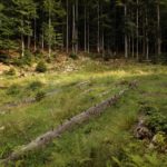 Schachten oder Filz? Schachten oder Filz?