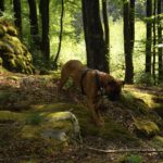 Karlie will ganz nah bei mir sein