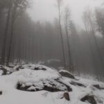 Wir tauchen in die Wolke ein