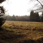 Sonne in Václav Sonne in Václav