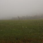 Rückkehr nach Althütte Rückkehr nach Althütte