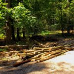 Das war laut Irmi am Freitag noch nicht da Das war laut Irmi am Freitag noch nicht da