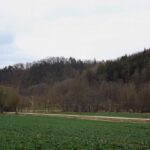 Blick Richtung Leidersdorf, auf dem Hügel in der Mitte versteckt sich eine keltische Wallanlage