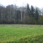 Nicht aufgeräumt Nicht aufgeräumt