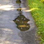 Heute Vormittag hat es tatsächlich noch einmal geregnet