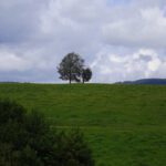 Drübergeschaut Drübergeschaut