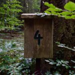 Rätselstunde Rätselstunde