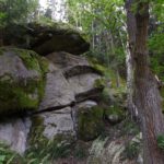 Typische Formation Typische Formation