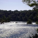 Licht- und Schaumspiele rheinaufwärts