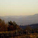 Auch im Südosten waren die Hügel des Vorwaldes sehr gut erkennbar