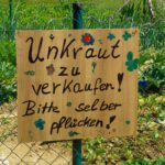 Der Höhepunkt des Tages Der Höhepunkt des Tages