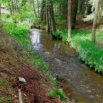 Da kommt ja die Murach ums Eck