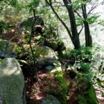 Links und rechts geht es schon ein bisserl hinunter