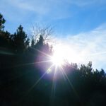 Der magische Moment Der magische Moment