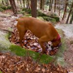 Kultwasser schmeckt ganz brauchbar...