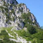 Die Kampfvegetationszone beginnt