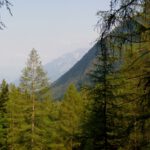 Rückblick Rückblick