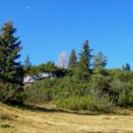 Kampfvegetation unter dem Halbmond