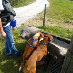 Gemeinschaftliches Durstlöschen