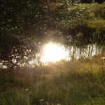 Teichspiegelung in extremo