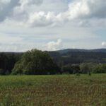 Nonnenberg und Moritzberg