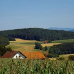 Erstmals taucht im Hintergrund der Arber auf