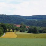 Rückblick auf Aicha