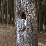 Kein Geocache sondern Müll Kein Geocache sondern Müll