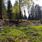 Auf dem kleinen Plateau Auf dem kleinen Plateau