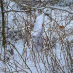 Verloren und nicht wieder abgeholt