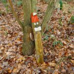 Anlehnungsbedürftig Anlehnungsbedürftig