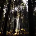 Goldene Oktobersonne Goldene Oktobersonne