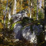 Versteinerter Beagle