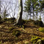 Aufstieg zum höchsten Punkt