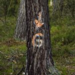 Liegt da ein Geocache?