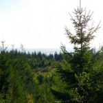 Nach Süden ist es deutlich dunstiger