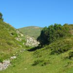 Durchblick Durchblick