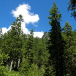 ...und die Felsen an den Seiten bewaldet