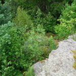 Hier sieht es harmloser aus als es tatsächlich runtergeht