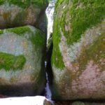 Hier passt nicht einmal Coco durch