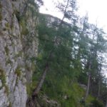 Wenn ich nicht gerade nach oben wachsen kann, mach ich eben eine Kurve