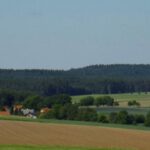 Weiher vor dem Blauberg