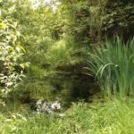 Ehenbachquelle Ehenbachquelle