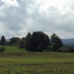 Rückblick Richtung Oberpfalz