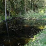 Die Hüle des früher hinter dem Jagdsitz liegenden Hofes