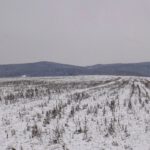 Die Schneedecke könnte noch etwas höher werden